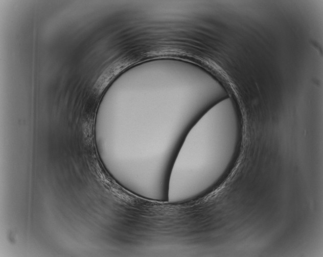 X0000100980937200806241145