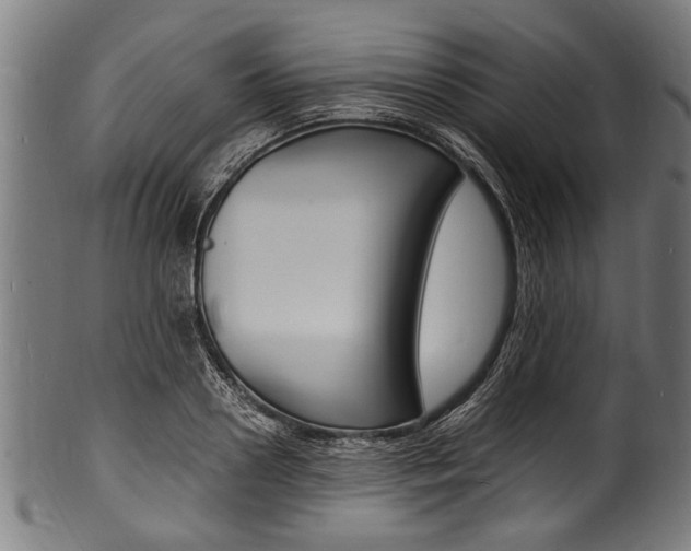 X0000100980938200806241145