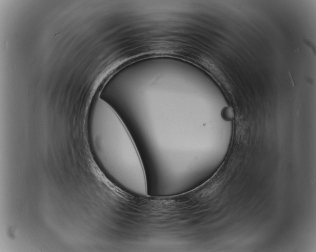 X0000100980939200806241145
