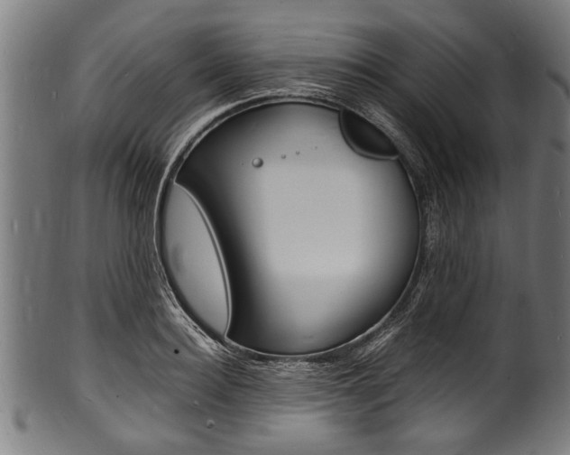 X0000100980940200806241145