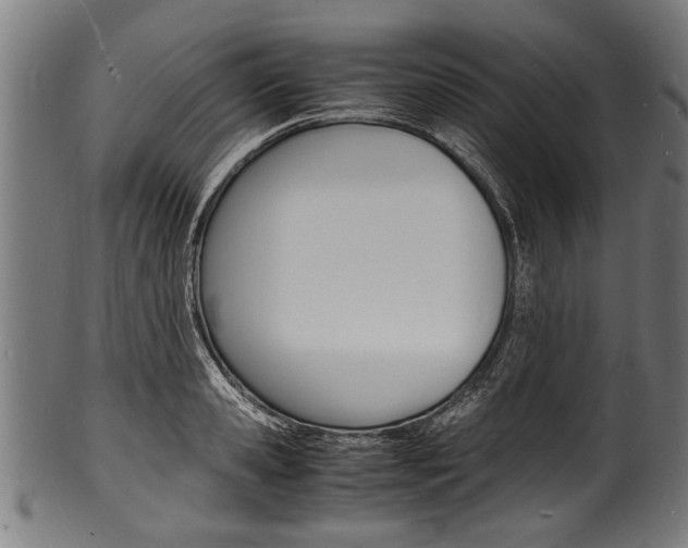 X0000100980941200806241145