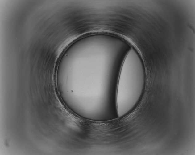 X0000100980943200806241145