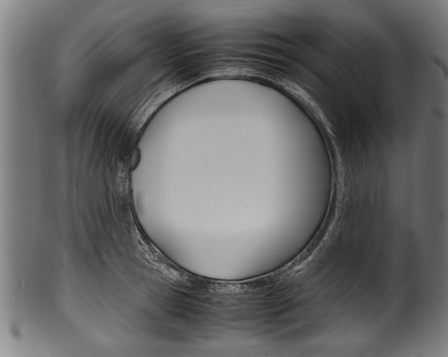X0000100980945200806241145