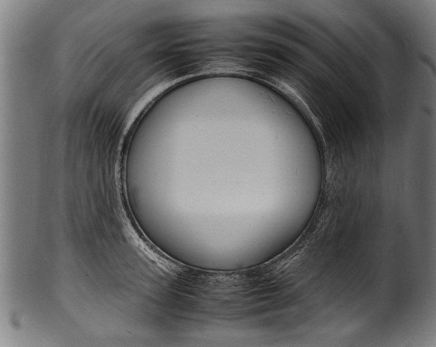 X0000100980947200806241145