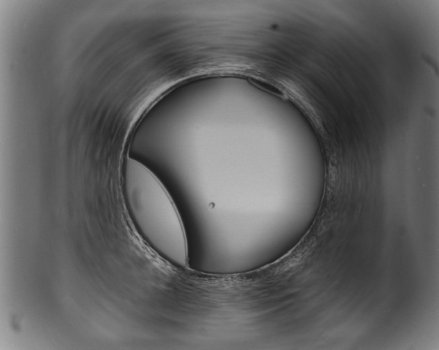 X0000100980948200806241145