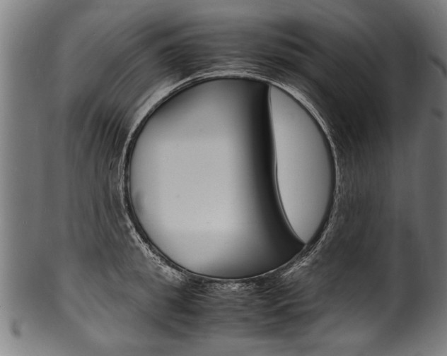 X0000100980949200806241145