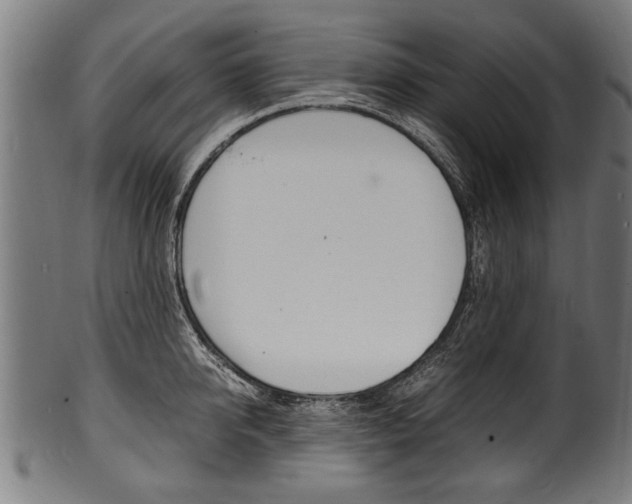 X0000100980950200806241145