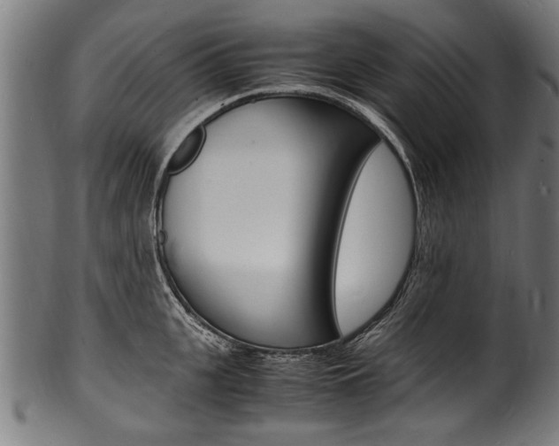 X0000100980951200806241145