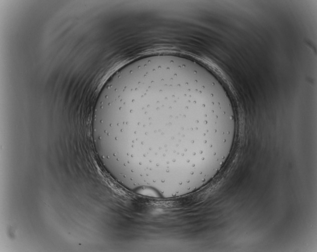 X0000100980953200806241145