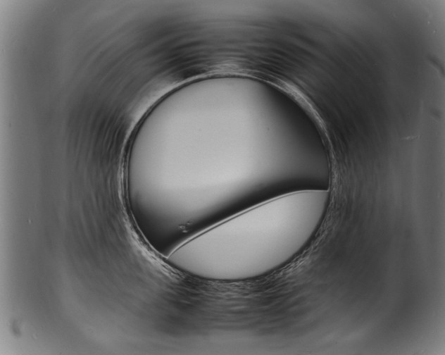 X0000100980955200806241145