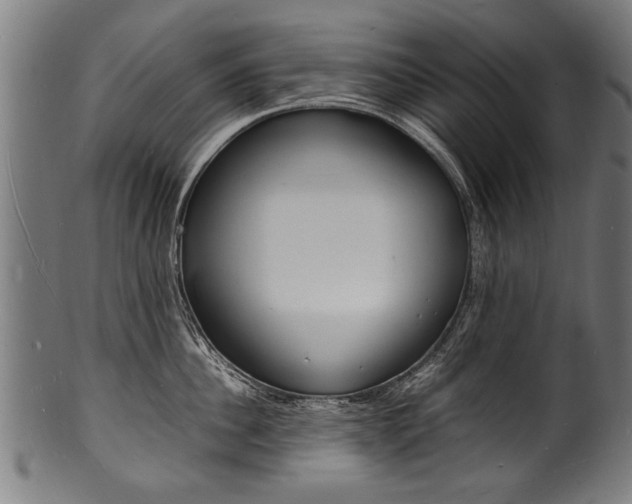X0000100980956200806241145