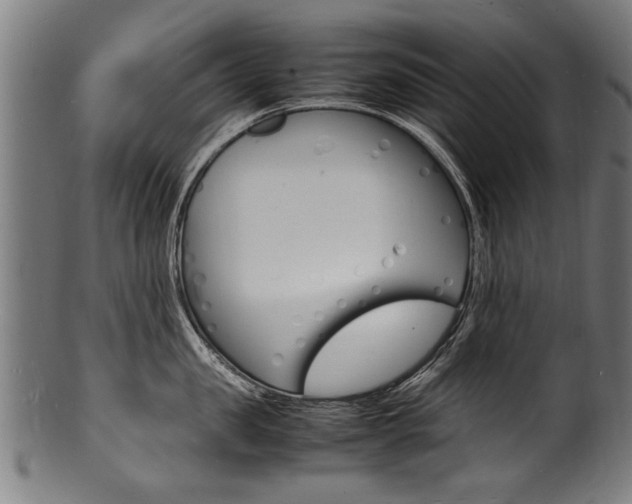 X0000100980957200806241145