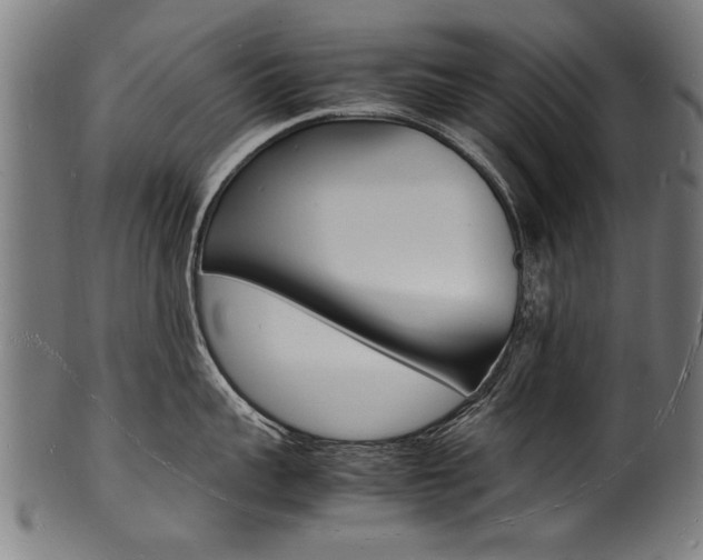 X0000100980959200806241145