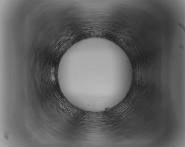 X0000100980962200806241145