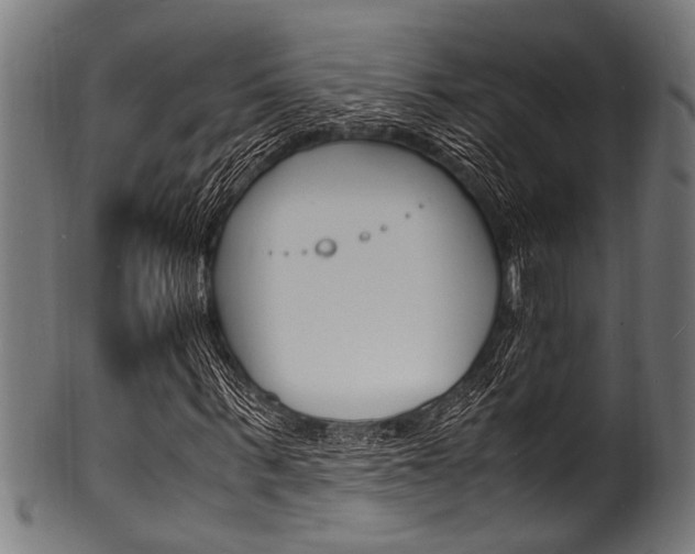 X0000100980963200806241145