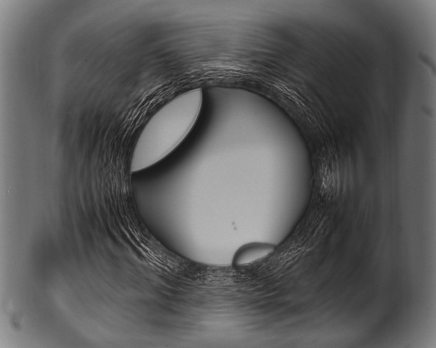 X0000100980964200806241145