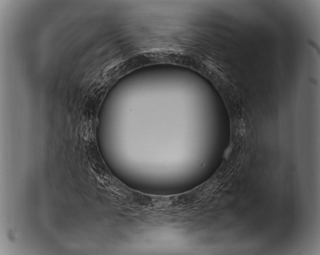 X0000100980965200806241145