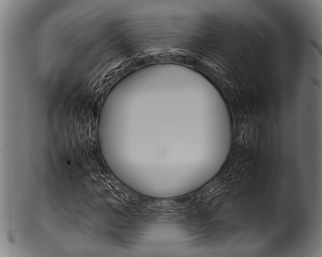 X0000100980966200806241145