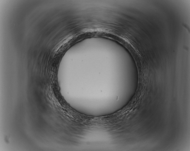 X0000100980967200806241145