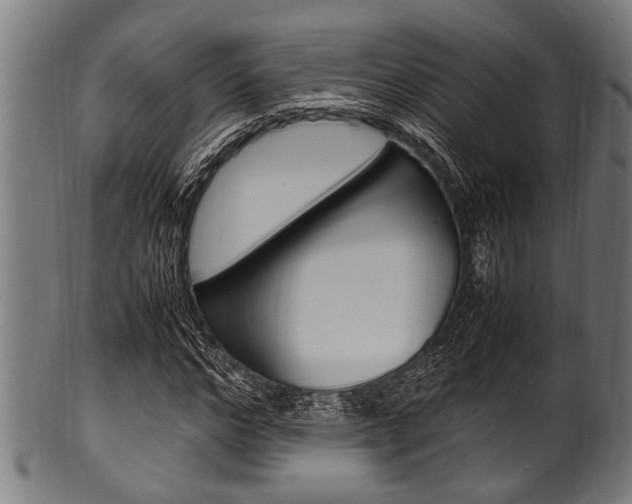 X0000100980968200806241145