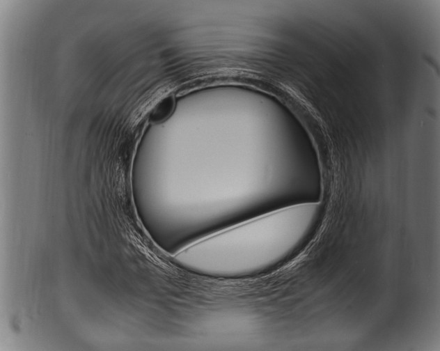 X0000100980969200806241145