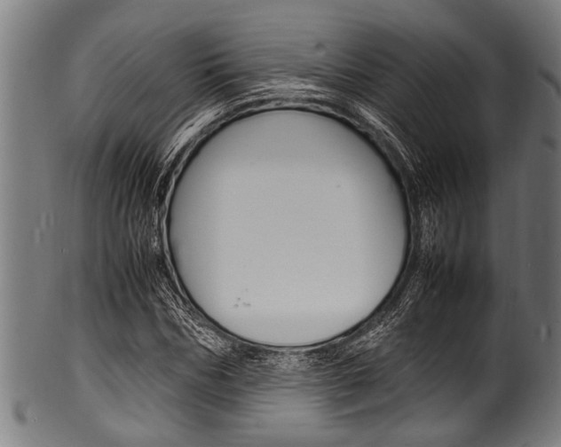 X0000100980970200806241144
