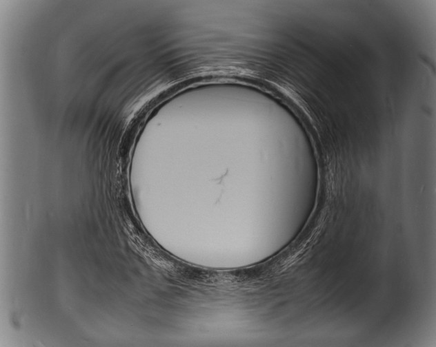 X0000100980971200806241144