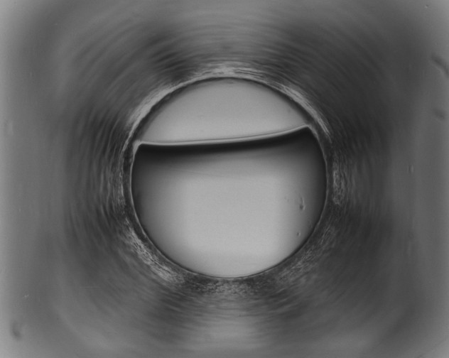 X0000100980972200806241144