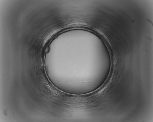 X0000100980973200806241144