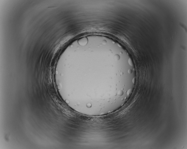 X0000100980974200806241144