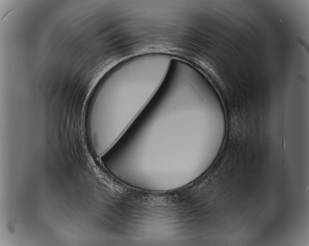 X0000100980976200806241144