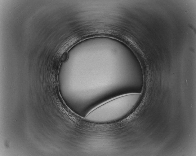 X0000100980977200806241144