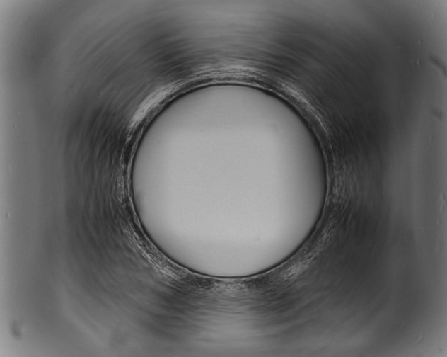 X0000100980978200806241144