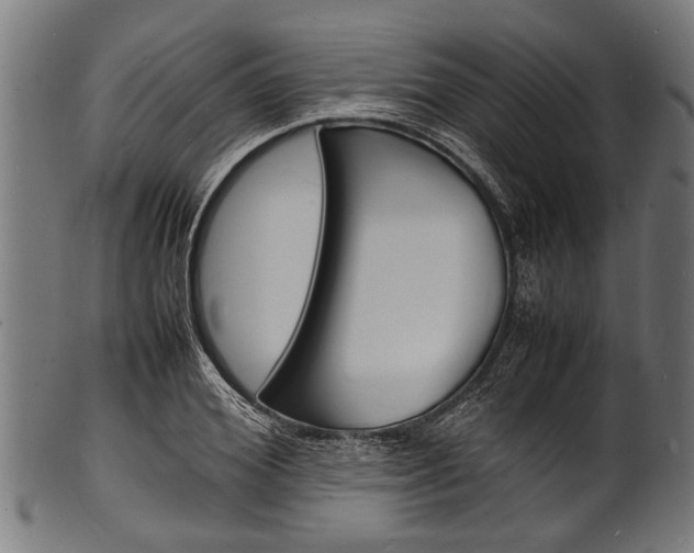 X0000100980980200806241144