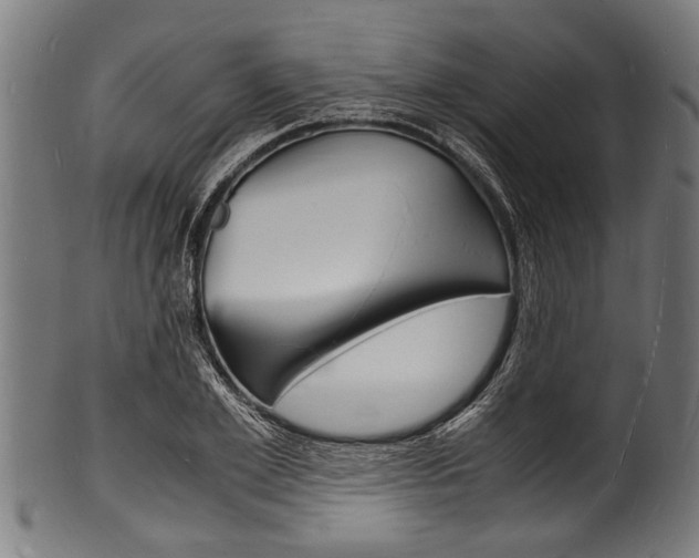 X0000100980981200806241144