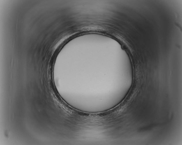 X0000100980983200806241144