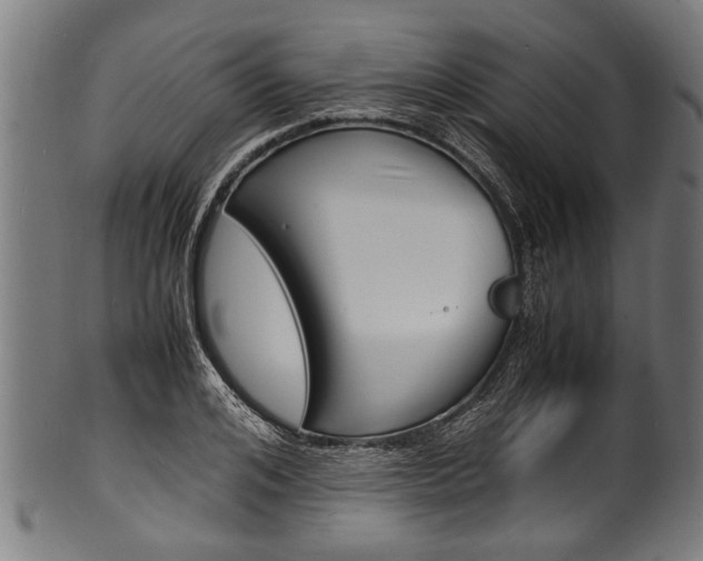 X0000100980984200806241144