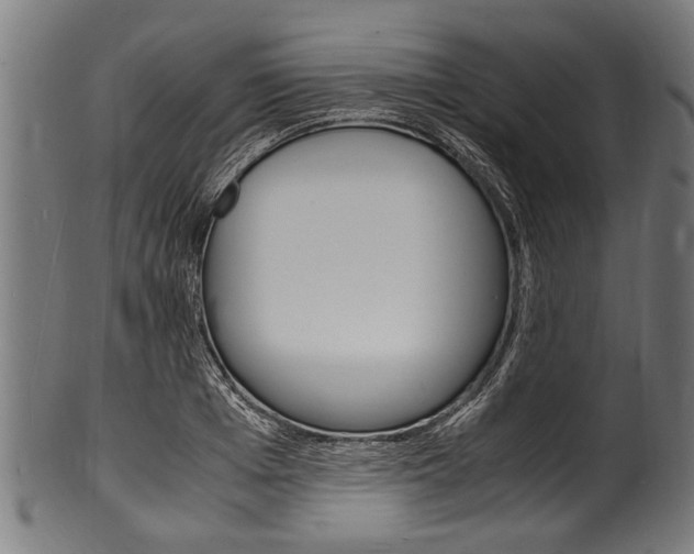 X0000100980985200806241144
