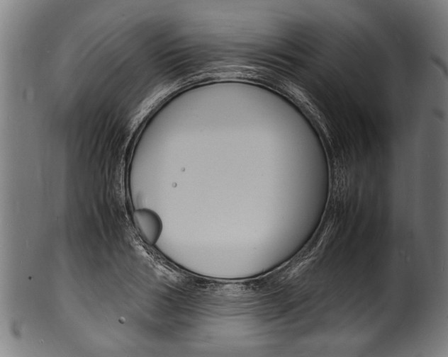 X0000100980986200806241144