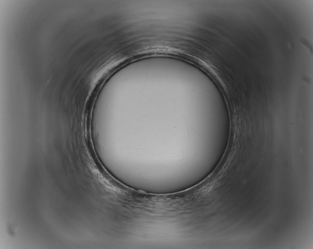 X0000100980987200806241144