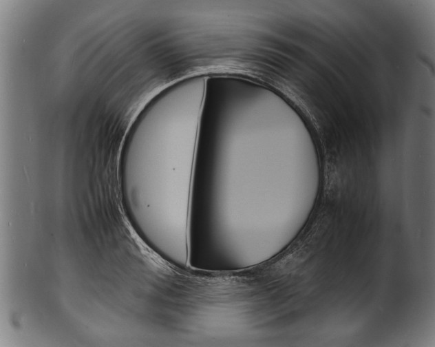 X0000100980988200806241144