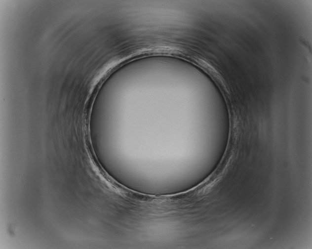 X0000100980989200806241144