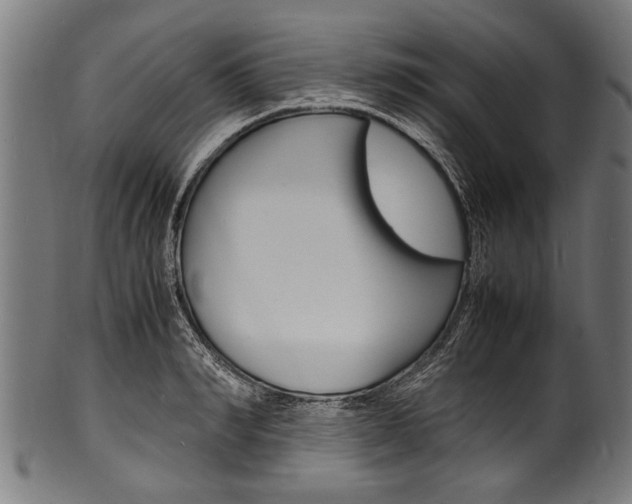 X0000100980990200806241144