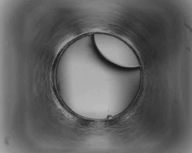 X0000100980991200806241144