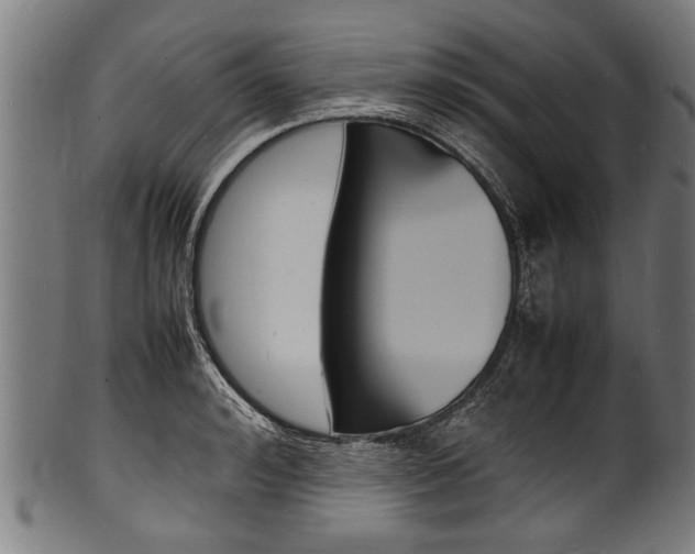 X0000100980992200806241144