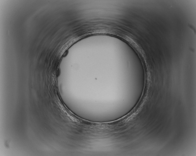 X0000100980993200806241144