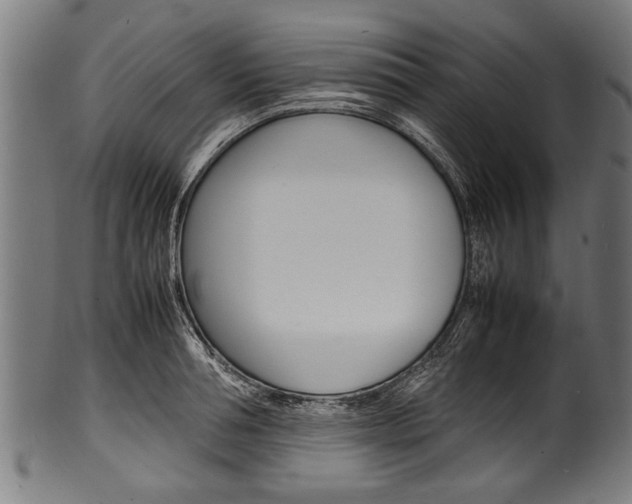 X0000100980994200806241144