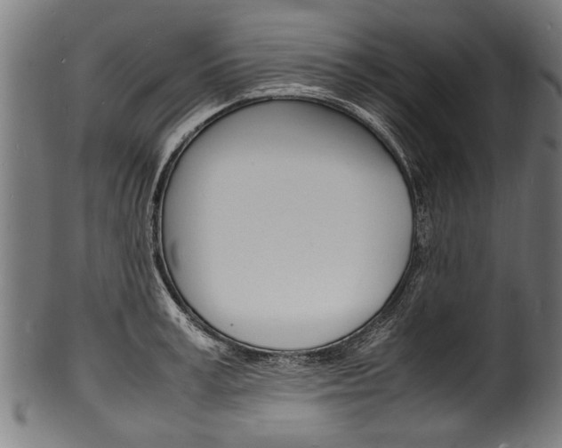 X0000100980995200806241144