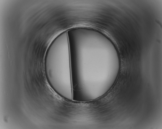 X0000100980996200806241144