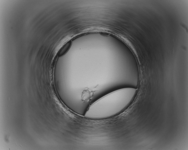 X0000100980997200806241144